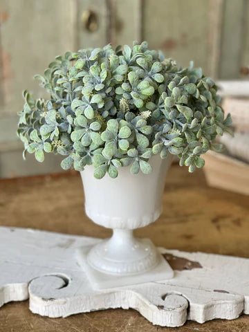 9" White Sage Boxwood Half Sphere